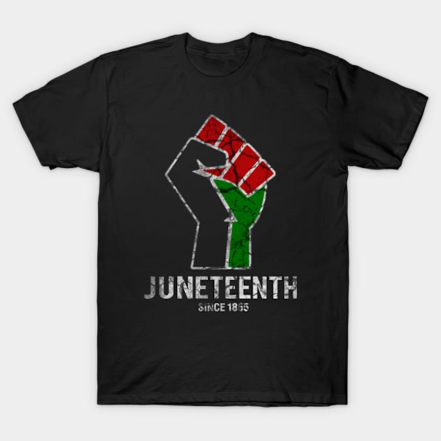 juneteenth T-Shirt by first12